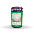 فروش بذر پیاز افریگرو اصل در قزوین در گروه خرید و فروش بذر پیاز در یکمیوه