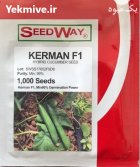 بذر خیار کرمان در آبدان در گروه خرید و فروش بذر خیار در یکمیوه