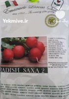 بذر تربچه ساکسا 2 در شهرجدید هشتگرد در گروه خرید و فروش انواع بذر در یکمیوه