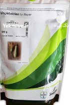 بذر کدو سبز هیبرید تک گل در آرین شهر در گروه خرید و فروش بذر کدو در یکمیوه