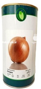 بذر پیاز زرد زرگان در آبش احمد در گروه خرید و فروش بذر پیاز در یکمیوه