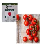 بذر گوجه فضای باز هایکو در برازجان در گروه خرید و فروش بذر گوجه در یکمیوه