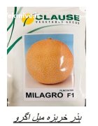 بذر ملون خربزه گالیا میلاگرو در باغین در گروه خرید و فروش بذر خربزه در یکمیوه