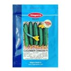 بذر خیار دانوب در بومهن در گروه خرید و فروش بذر خیار در یکمیوه