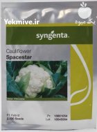 بذر گل کلم اسپیس استار گلد در جونقان در گروه خرید و فروش انواع بذر در یکمیوه
