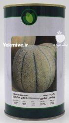 بذر طالبی ورامین فلات در باغستان در گروه خرید و فروش بذر طالبی در یکمیوه