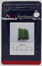 بذر خیار سورینا در اندوهجرد در گروه خرید و فروش بذر خیار در یکمیوه