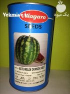 فروش بذر هندوانه نیاگارا رقم پربازده در بوشهر در گروه خرید و فروش بذر هندوانه در یکمیوه