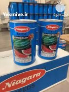 فروش ویژه بذر هندوانه نیاگارا در اصفهان در گروه خرید و فروش بذر هندوانه در یکمیوه