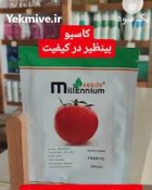 بذر گوجه کاسیو اصل موجود شد در بوشهر در گروه خرید و فروش بذر گوجه در یکمیوه