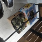 فروش فروش ته بار میوه بهترین در پاکدشت در گروه خوراک دام و طیور در یکمیوه