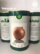 بذر پیاز فلات زرگان در خوسف در گروه خرید و فروش بذر پیاز در یکمیوه