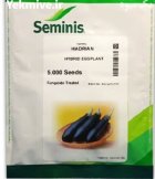 “بذر بادمجان هادریان Hadrian F 1 ” در اسلامیه در گروه خرید و فروش بذر بادمجان در یکمیوه