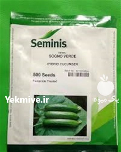 خرید بذر خیار سینا اصل در کهنوج در گروه خرید و فروش بذر خیار در یکمیوه -عکس1