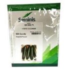 فروش بذر خیار PS 547 – عملکرد در اصفهان در گروه خرید و فروش بذر خیار در یکمیوه