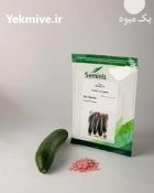 خرید بذر خیار ps 547 اورجینال در مشهد در گروه خرید و فروش بذر خیار در یکمیوه
