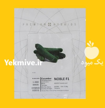 بذر خیار هیبرید نوبل پوپ هلند در اصفهان در گروه خرید و فروش بذر خیار در یکمیوه -عکس1