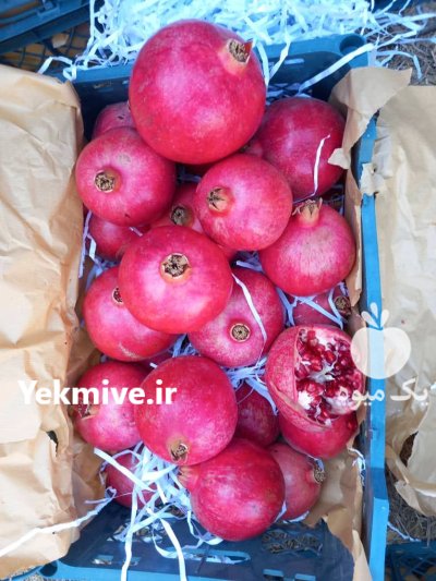 انار رباب استان فارس فسا در شیراز در گروه خرید و فروش انار در یکمیوه -عکس1