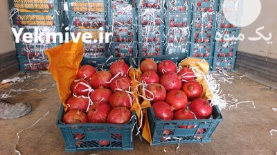 انار رباب استان فارس فسا در شیراز در گروه خرید و فروش انار در یکمیوه -عکس2