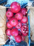 انار رباب استان فارس فسا در شیراز در گروه خرید و فروش انار در یکمیوه