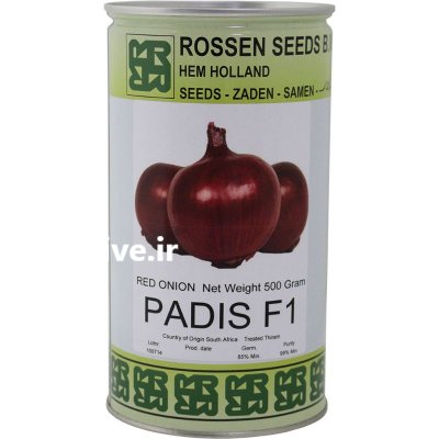 بذر پیاز پادیس F 1 هلند در بندرعباس در گروه خرید و فروش بذر پیاز در یکمیوه -عکس1