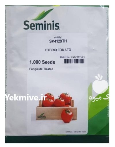 بذر گوجه فرنگی بذر گوجه 4129 در پاوه در گروه خرید و فروش بذر گوجه در یکمیوه -عکس1