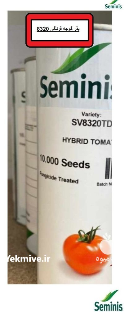 فروش بذر گوجه 8320 سمینیس در آبعلی در گروه خرید و فروش بذر گوجه در یکمیوه -عکس1