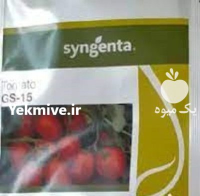 قیمت بذر گوجه GS 15 در اندیشه در گروه خرید و فروش بذر گوجه در یکمیوه -عکس1