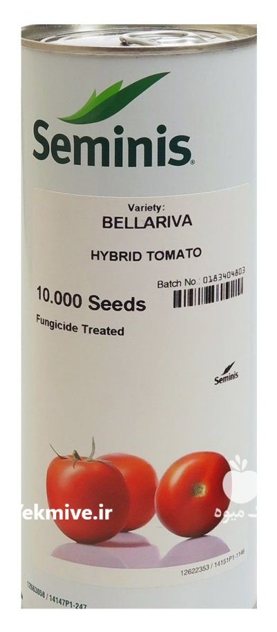 بذر گوجه فرنگی بلاریوا در تازه آباد در گروه خرید و فروش بذر گوجه در یکمیوه -عکس1