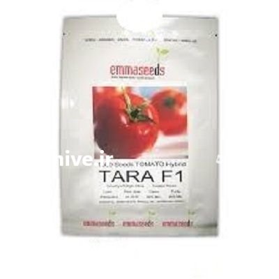 فروش و توزیع گوجه تارا در گرگان در گروه خرید و فروش بذر گوجه در یکمیوه -عکس1