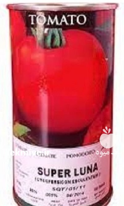 بذر گوجه فرنگی سوپر لونا در آبدان در گروه خرید و فروش بذر گوجه در یکمیوه -عکس1