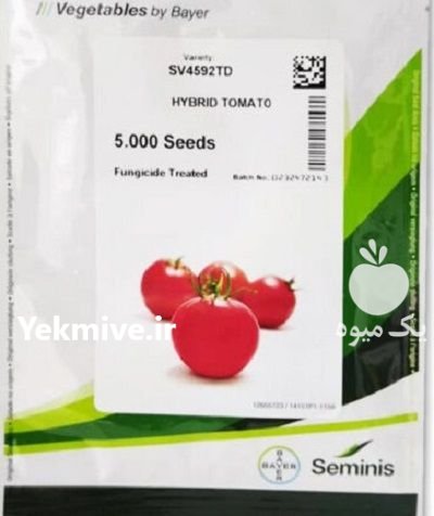 فروش بذر گوجه 4592 sv سمینیس در اندوهجرد در گروه خرید و فروش بذر گوجه در یکمیوه -عکس1