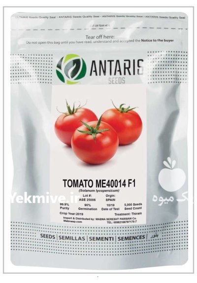 بذر گوجه 40014 me در باجگیران در گروه خرید و فروش بذر گوجه در یکمیوه -عکس1