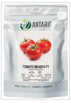 بذر گوجه 40014 me در باجگیران در گروه خرید و فروش بذر گوجه در یکمیوه