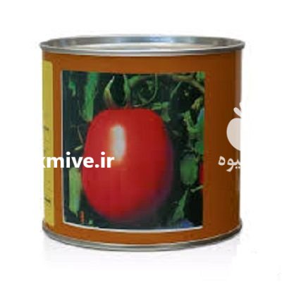 فروش و توزیع بذر گوجه مالکوم در آبپخش در گروه خرید و فروش بذر گوجه در یکمیوه -عکس1