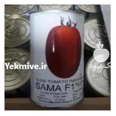 بذر گوجه فرنگی سما در صفی آباد در گروه خرید و فروش بذر گوجه در یکمیوه -عکس1
