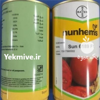 فروش بذر گوجه 6189 در آبیک در گروه خرید و فروش بذر گوجه در یکمیوه -عکس1