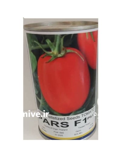 بذر گوجه فرنگی پارس f 1 در بیدخت در گروه خرید و فروش بذر گوجه در یکمیوه -عکس1