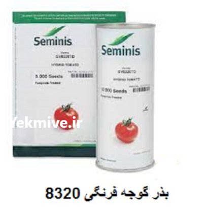 فروش بذر گوجه 8320 سیمنیس در قنوات در گروه خرید و فروش بذر گوجه در یکمیوه -عکس1