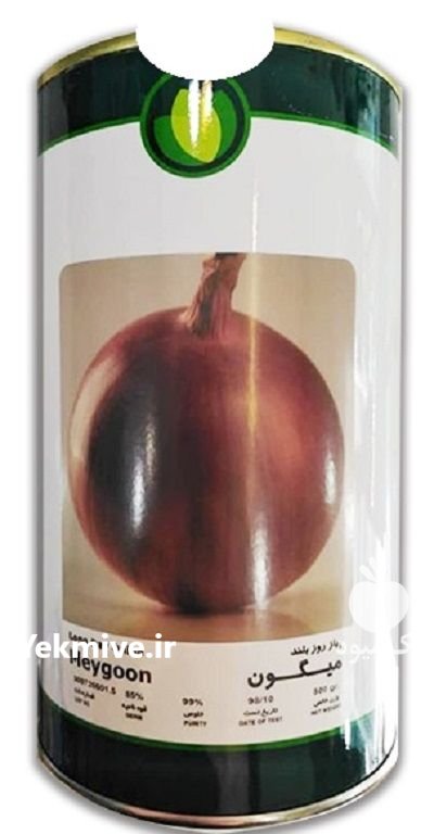 بذر پیاز میگون فلات در بجستان در گروه خرید و فروش بذر پیاز در یکمیوه -عکس1