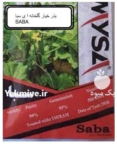 فروش بذر خیار سبا در حمیل در گروه خرید و فروش بذر خیار در یکمیوه -عکس1