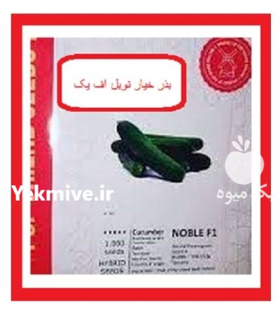بذر خیار نوبل F 1 در بروجن در گروه خرید و فروش بذر خیار در یکمیوه -عکس1