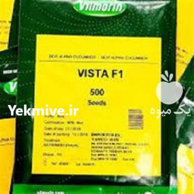 بذر خیار ویستا در شهرکرد در گروه خرید و فروش بذر خیار در یکمیوه -عکس1