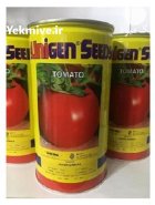 بذر گوجه یونی ژن در پلدشت در گروه خرید و فروش بذر گوجه در یکمیوه