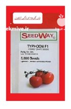 بذر گوجه تایفون در سامان در گروه خرید و فروش بذر گوجه در یکمیوه