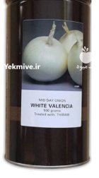 بذر پیاز والنسیا در آبدان در گروه خرید و فروش بذر پیاز در یکمیوه