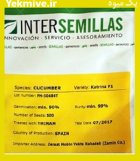 بذر خیار گلخانه ای کاترینا در بروجن در گروه خرید و فروش بذر خیار در یکمیوه