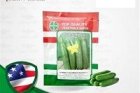 بذر خیار زمینی شوان در آغاجاری در گروه خرید و فروش بذر خیار در یکمیوه