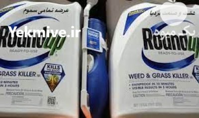 سم علف کش رانداپد در آبیک در گروه خرید و فروش انواع سم در یکمیوه -عکس1