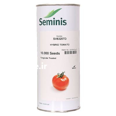 فروش ویژه بذر گوجه فرنگی 8320 در شیراز در گروه خرید و فروش بذر گوجه در یکمیوه -عکس1